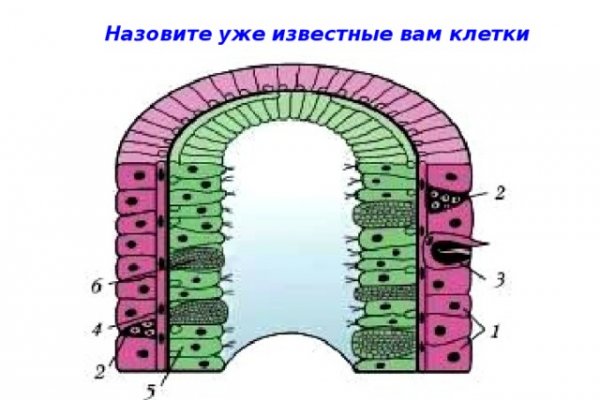 Почему не получается зайти на кракен