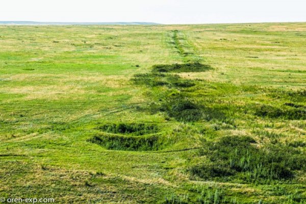 Кракен современный даркнет