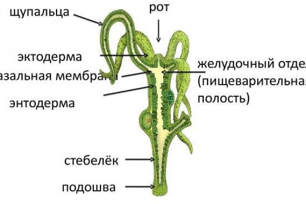 Kraken в россии